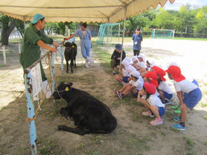 IMG_2948.JPG