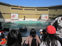 IMG_3561.JPG