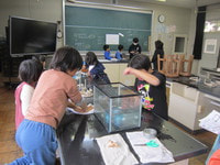 IMG_3781.JPG