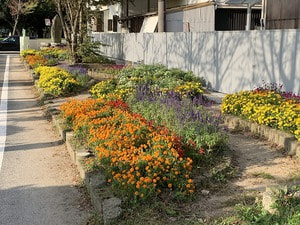 IMG_4056.jpg