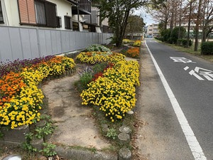 IMG_4061.jpgのサムネール画像