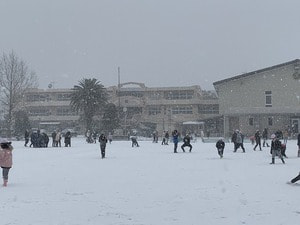IMG_4425-1.jpgのサムネール画像
