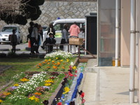 IMG_4682.JPG