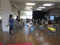 IMG_4741.jpg