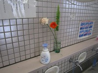 IMG_4798.jpg