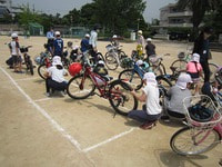 IMG_4846.jpg