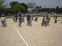 IMG_4856.jpg