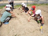IMG_4885.jpg