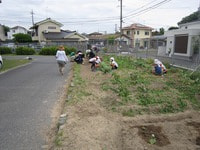 IMG_4934.jpg
