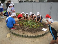 IMG_5127.jpg
