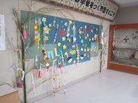 IMG_5167.jpg
