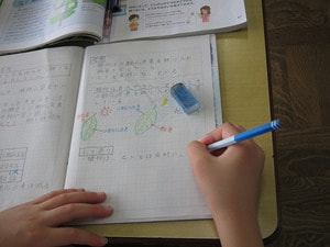 IMG_5259.jpg