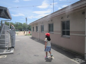 IMG_5337.jpg