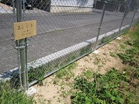 IMG_5512.jpg