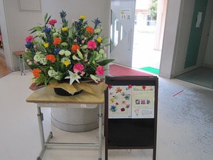 IMG_5586.jpg
