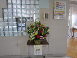IMG_5591-2.jpg