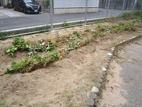 IMG_5593.jpg