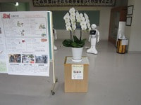 IMG_5653.jpg