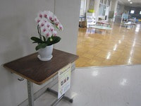 IMG_5654.jpg