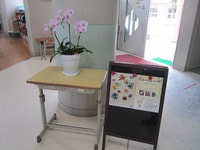IMG_5656.jpg