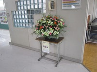 IMG_5682.jpg