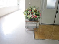 IMG_5686.jpg
