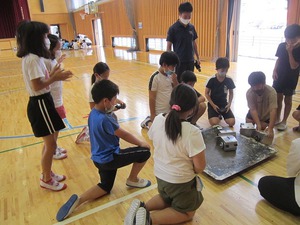 IMG_5800.jpg