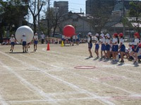 IMG_6136.jpg