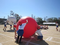 IMG_6218.jpg