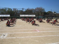 IMG_6232.jpg