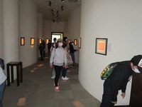 IMG_6567.jpg