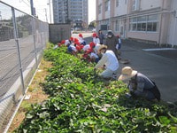 IMG_6656.jpgのサムネール画像