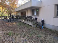 IMG_6885.jpgのサムネール画像
