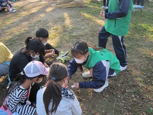 IMG_6987.jpg