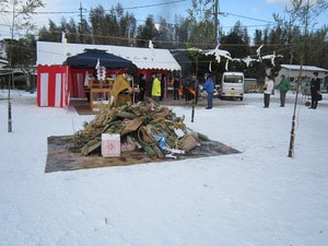 IMG_7573.jpg