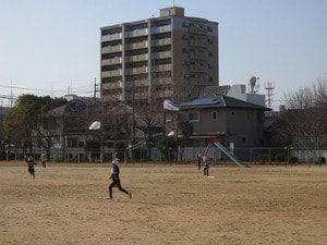 IMG_7629.jpg