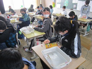 IMG_7945.jpg