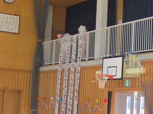 IMG_8229.jpg