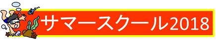 サマースクール2018始まる!