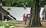公園安全点検活動