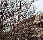 弥生3月~子供たちの様子~