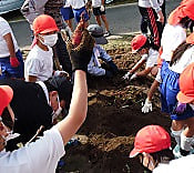 民生委員の方との芋ほり(2年生)