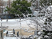 雪が降ったよ