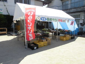 野菜販売&餅つき体験(学童保育クラブ)