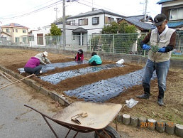 琴小農園 タマネギ苗植え