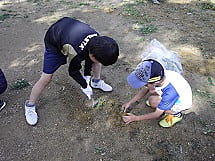 学校施設環境整備作業