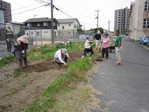 琴小農園再開