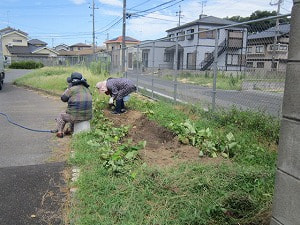 『琴小農園』の手入れ