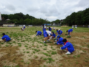 DSC06833.JPGのサムネール画像