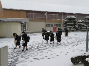 IMG_9349.JPG